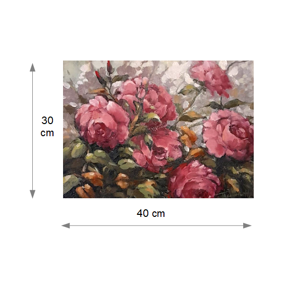 Roze Droom - Maten