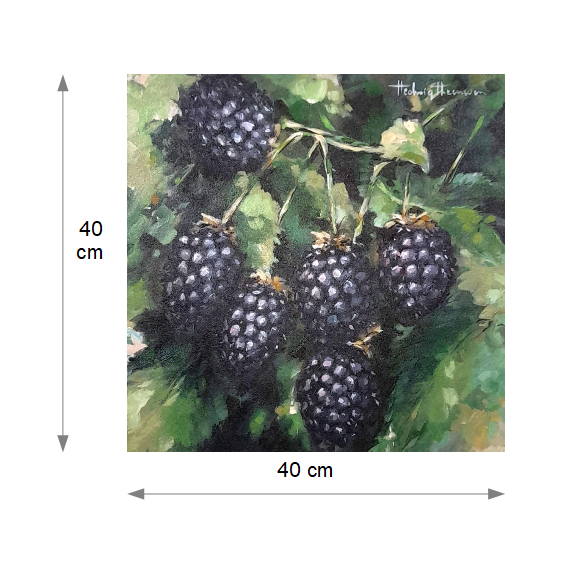 Zwartfruit - Maten