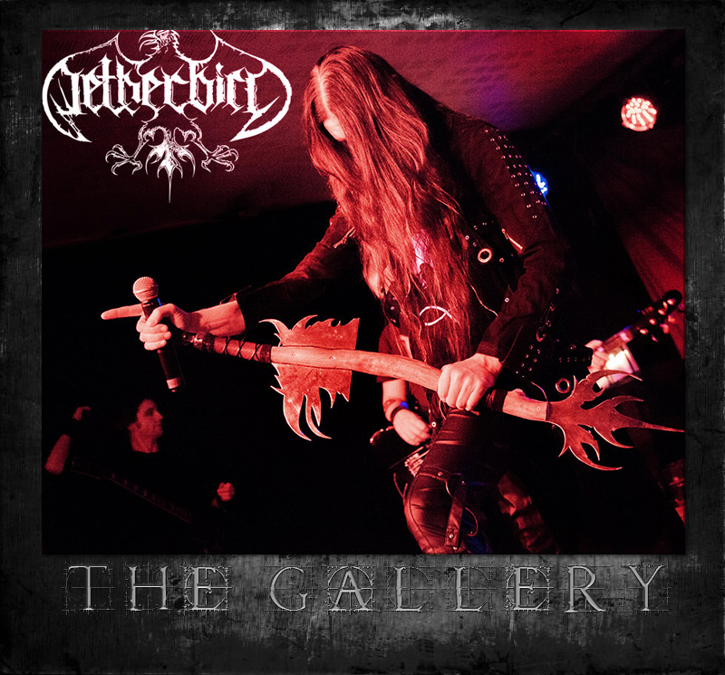 NETHERBIRD1