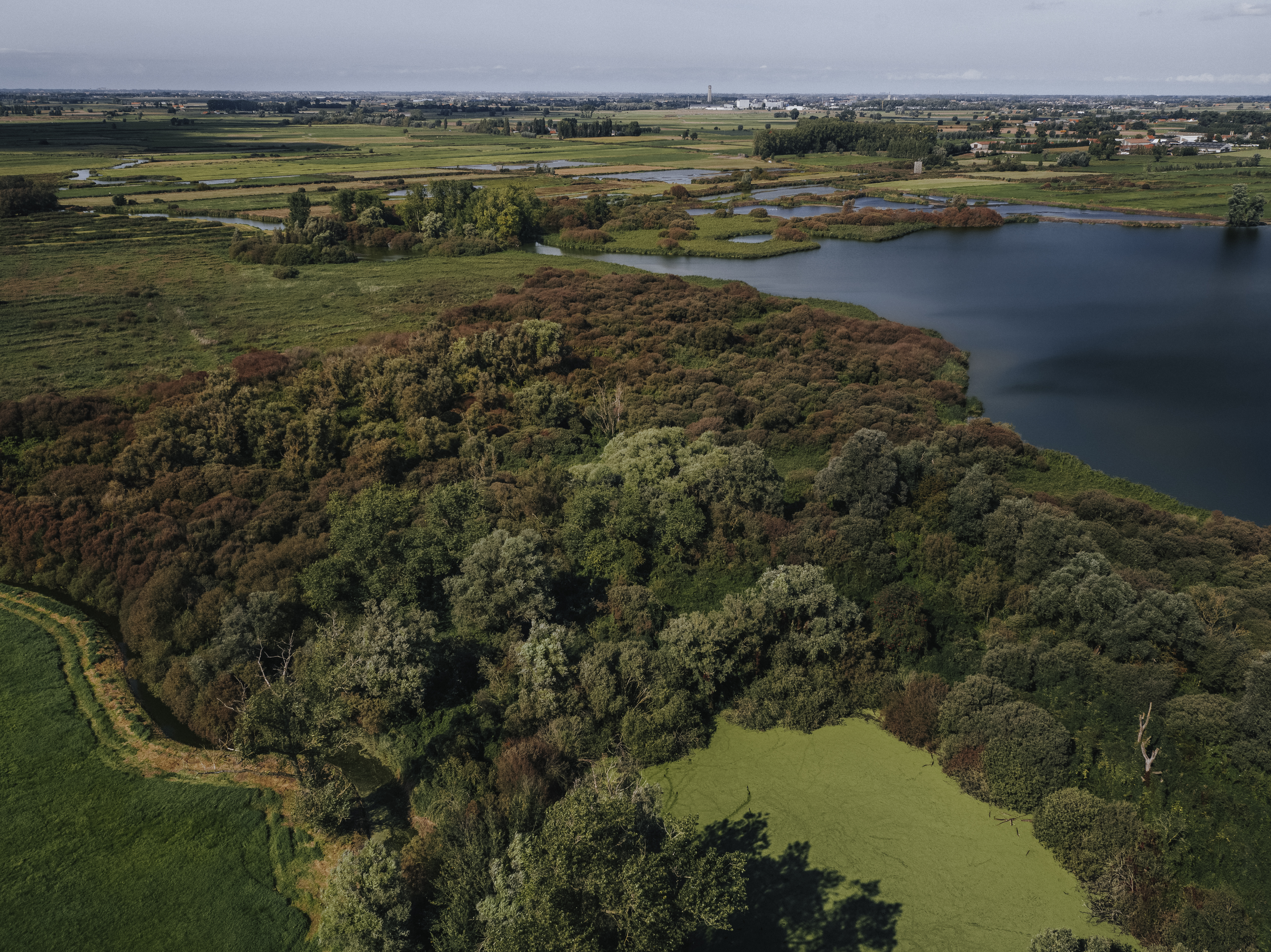 dronefoto West-Vlaanderen De Blankaart natuurgebied vogelsoorten fluisterboot Diksmuide Woumen Natuurpunt Provinciedomein