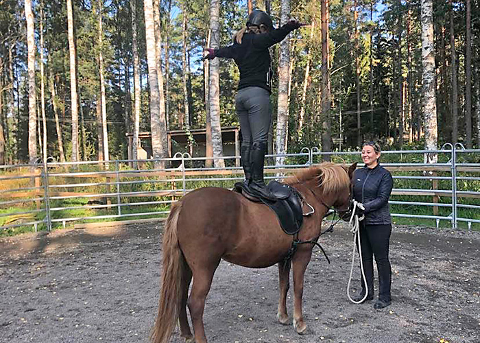 Foto på balansträning till häst