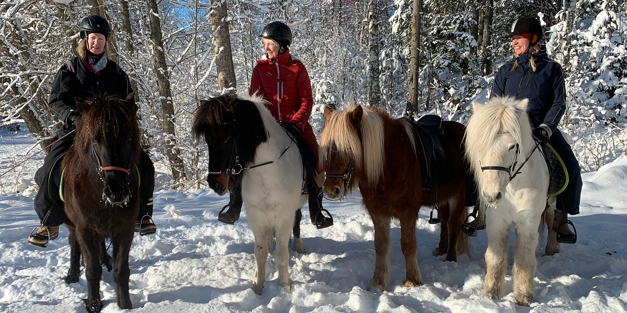 Foto på hästar och ryttare på vintern