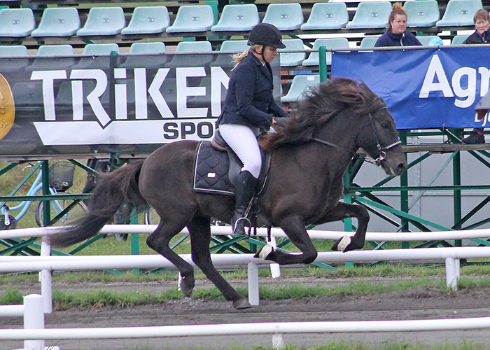 Foto från Gaedingakeppnin-SM - galopp