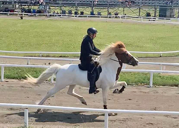 Foto på Jenny Göransson och hingsten Karri fra Gauksmyri