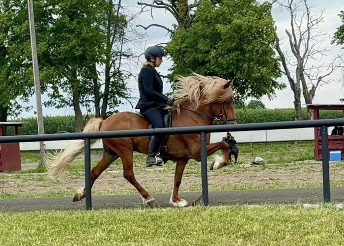 Foto på Jenny och Fengur