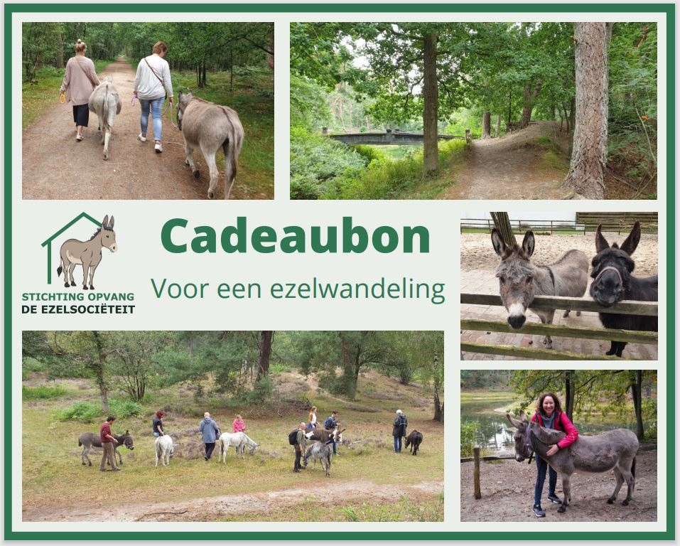 Voorbeeldbon ezelwandeling