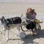 Xinjiang donkey