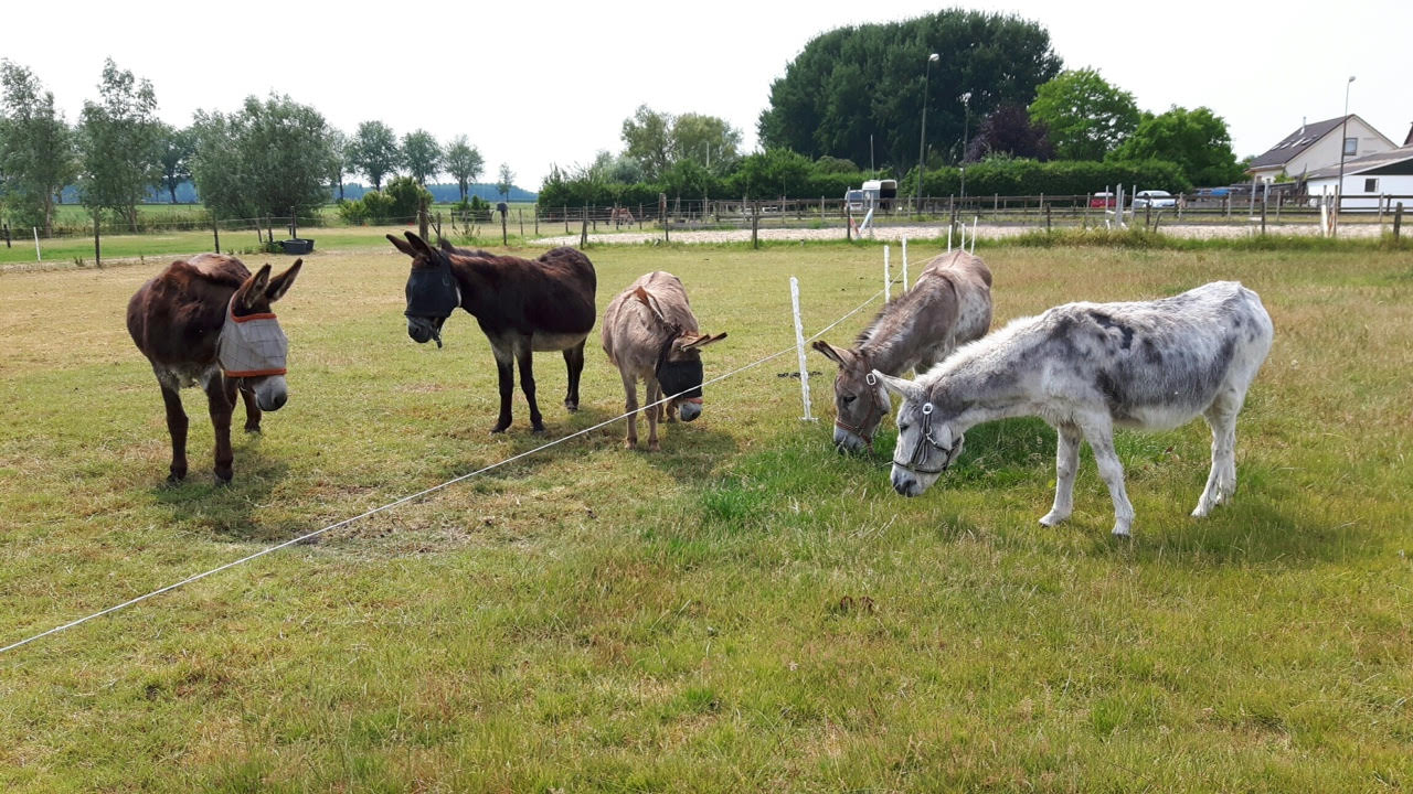 Op de foto: Links Sorbo (17) met zijn vriendin Fiona (28)