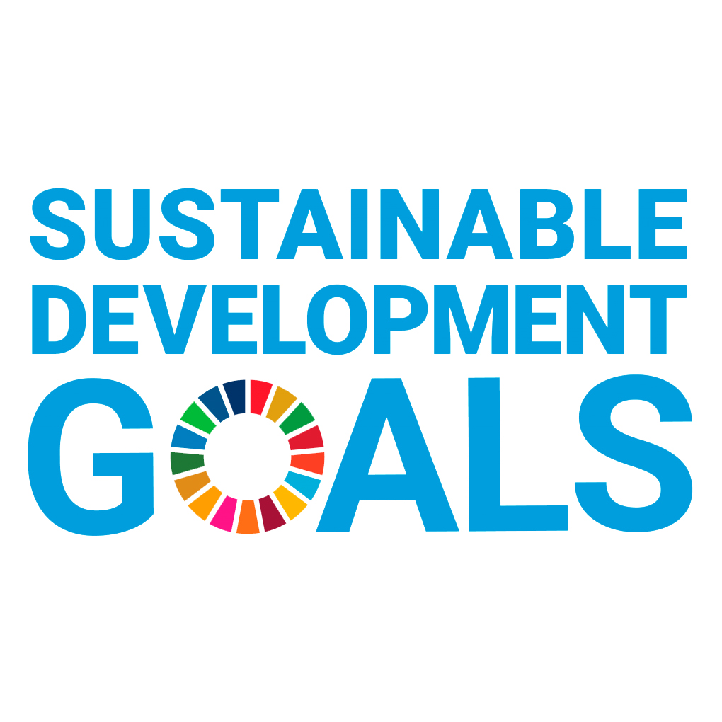 SDG logo