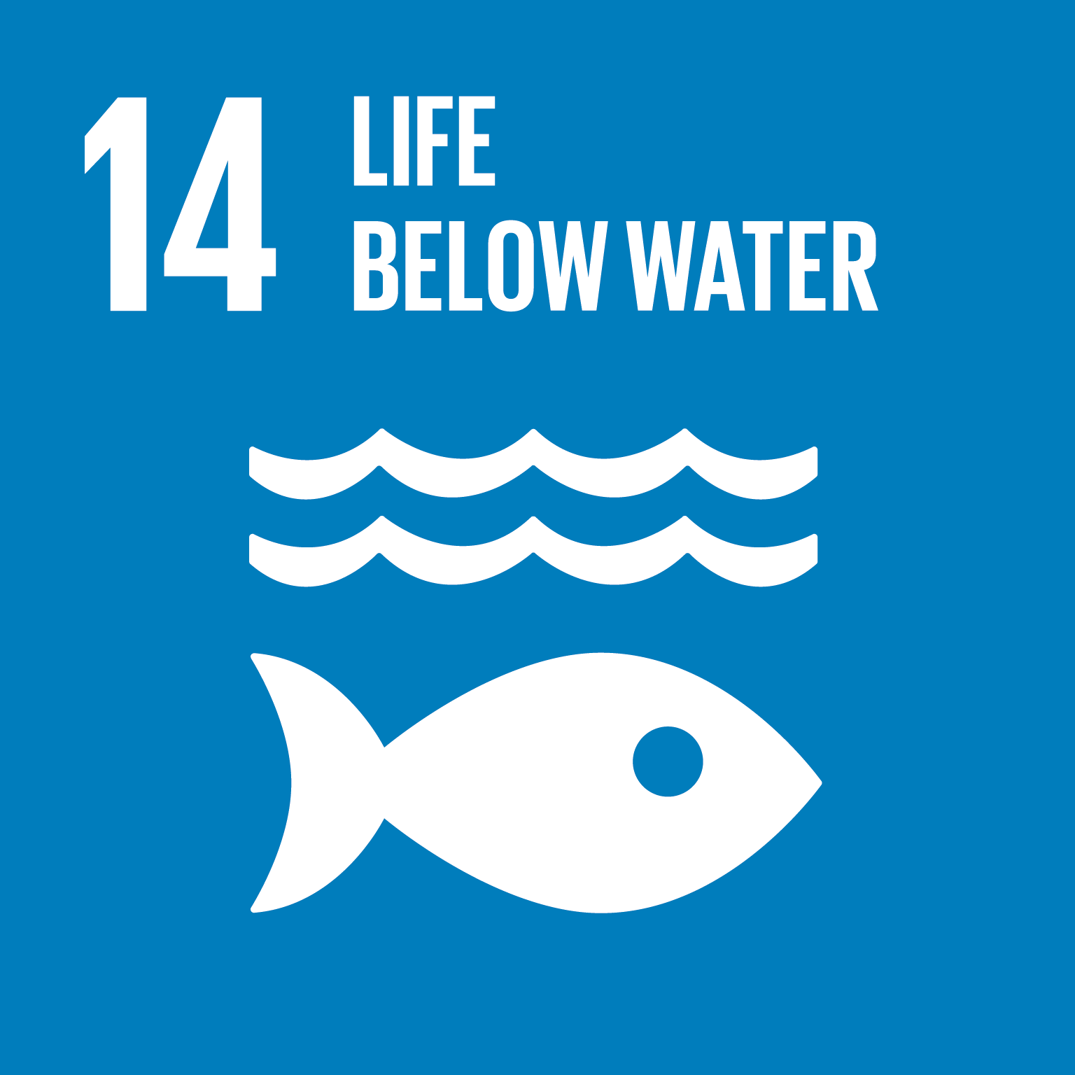 sdg 14