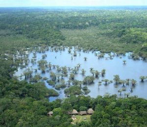 View over Cuyabeno Lodge in Amazon