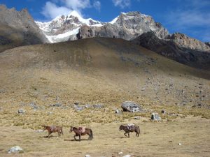 Salkantay Trek Peru rondreizen