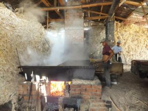 Tasca koffie tour in Vilcabamba Ecuador