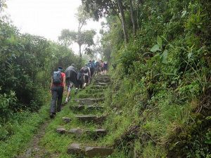 Hiking Choquequirao trail Peru