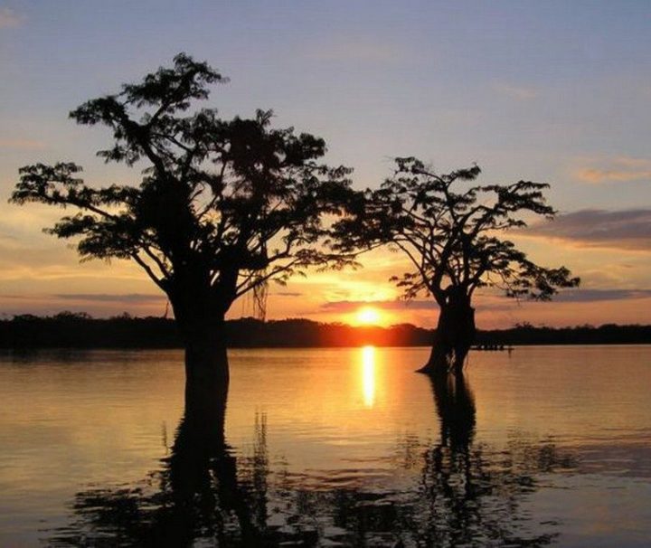 Jamu Amazon Lodge Ecuador