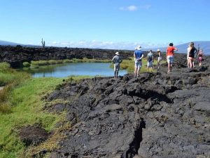 Volcanic ground in Galapgos Island