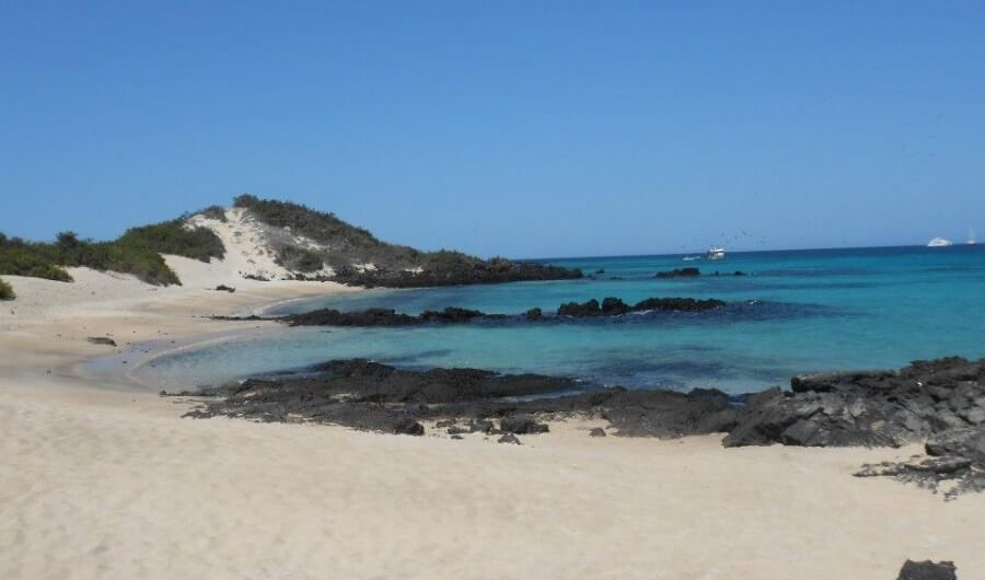 Mooie stranden tijdens Galapagos tours