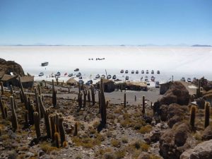 Inca Wasi Cacti Island Salar de Uyuni