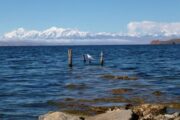 View of Cordillera Real from Isla del Sol