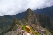 Lizard at Machu Picchu