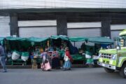 Selling coca leaves on market