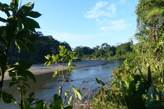 Amazon kayak and canoe tour