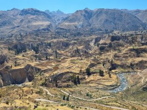 Peru reizen naar de Colca Canyon