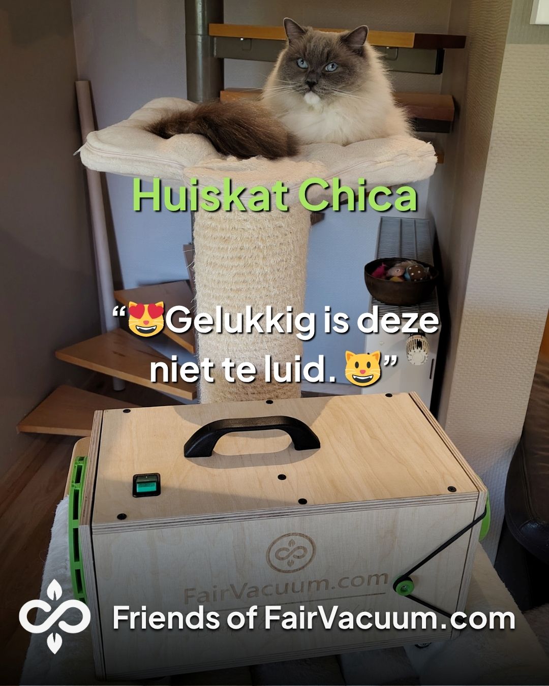 Friends of FairVacuum - Chica