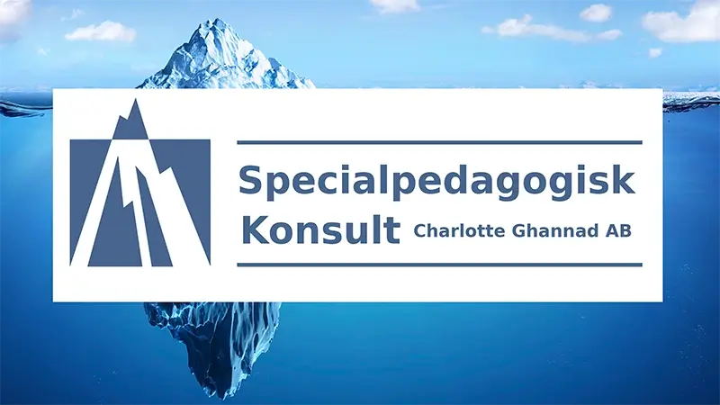 Specialpedagogisk Konsult