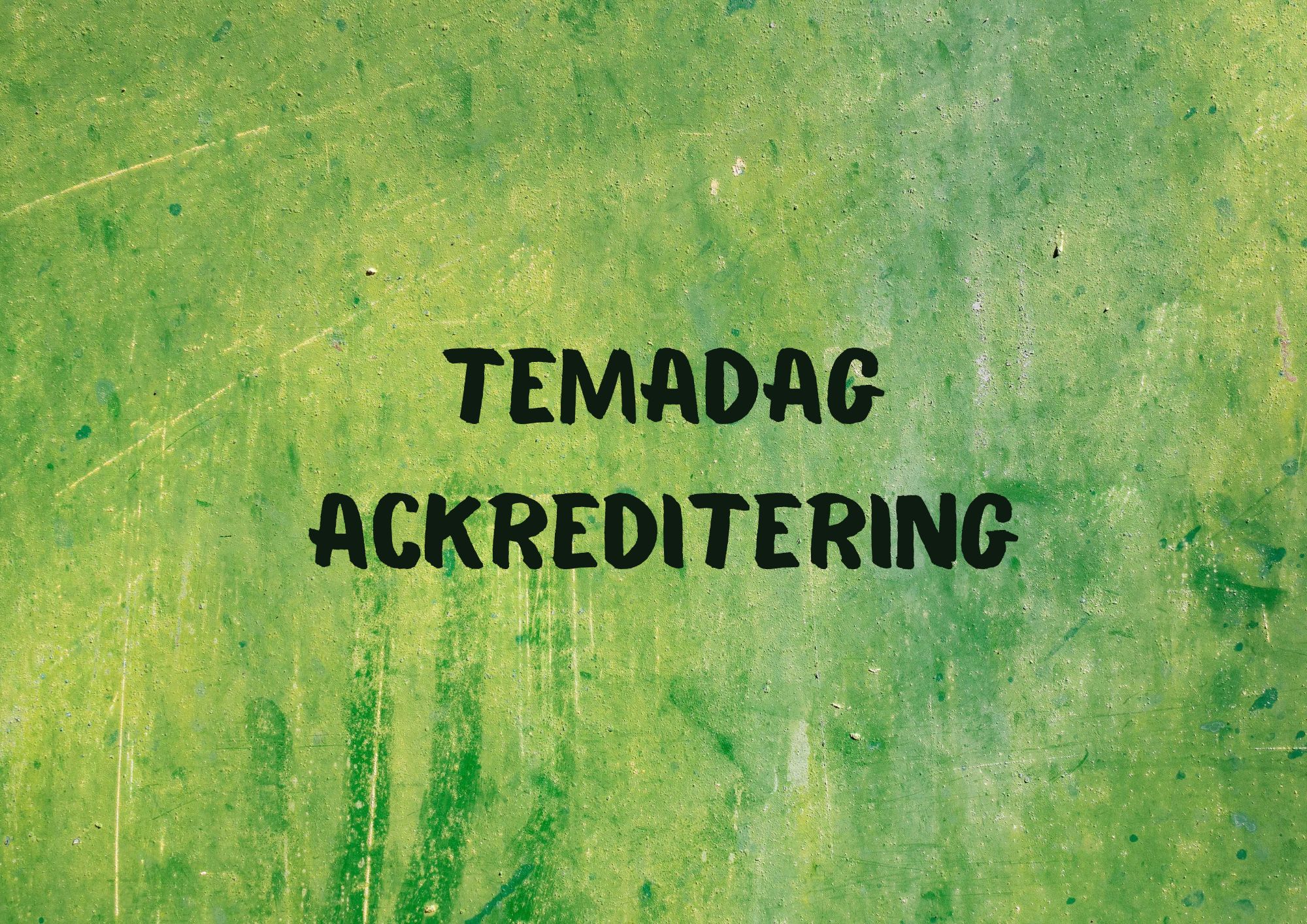 Temadag