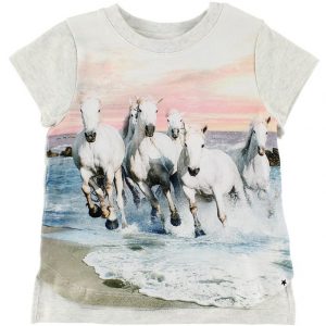 Molo T-Shirt - Erin - White Horses