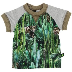 Molo T-shirt - Eton - Cactus Bite