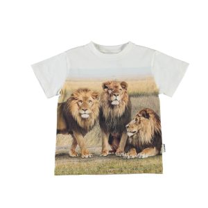 Molo | T-shirt Road, løveprint
