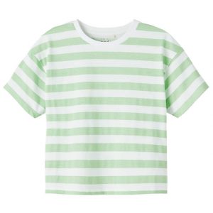 Name It T-shirt - NkfVitanni - Silt Green