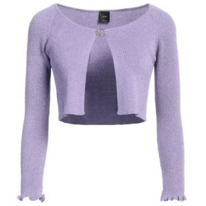 Pinko Purple Viscose Sweater