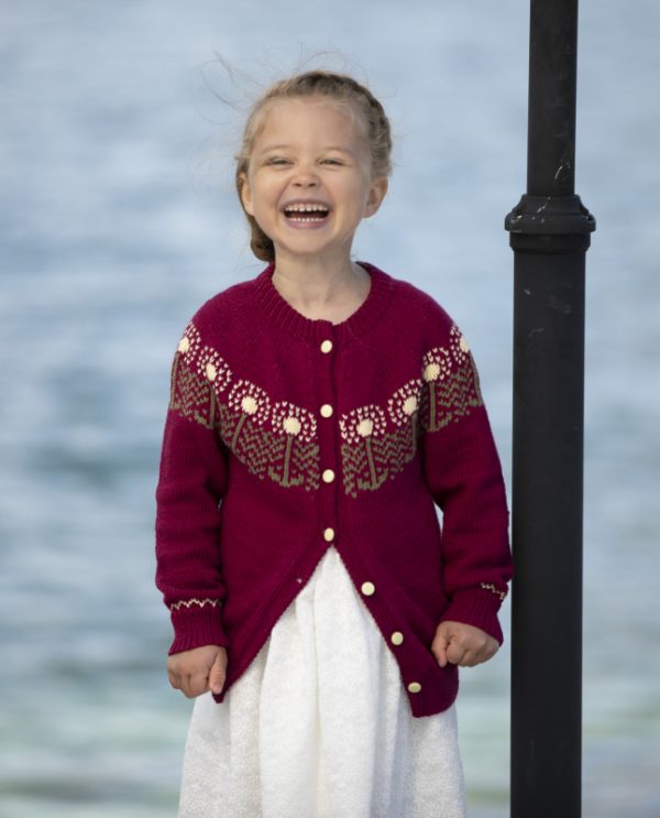 "Tara" Cardigan - Viking Design 1916-3 Kit - 2 - 12 år - Viking Bjørk, fra Viking