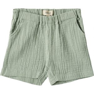 Wheat Shorts - Luca - Aquaverde