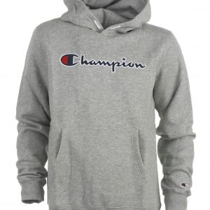 Champion hood sweat, grey - 104 - 3-4år