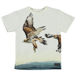 Molo t-shirt s/s, Raveno, birdlift - 98 - 3år