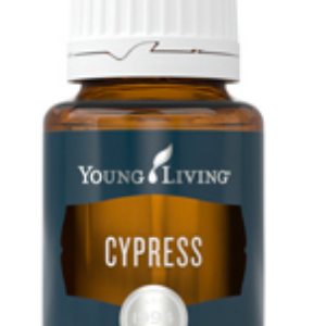 cipres cypress