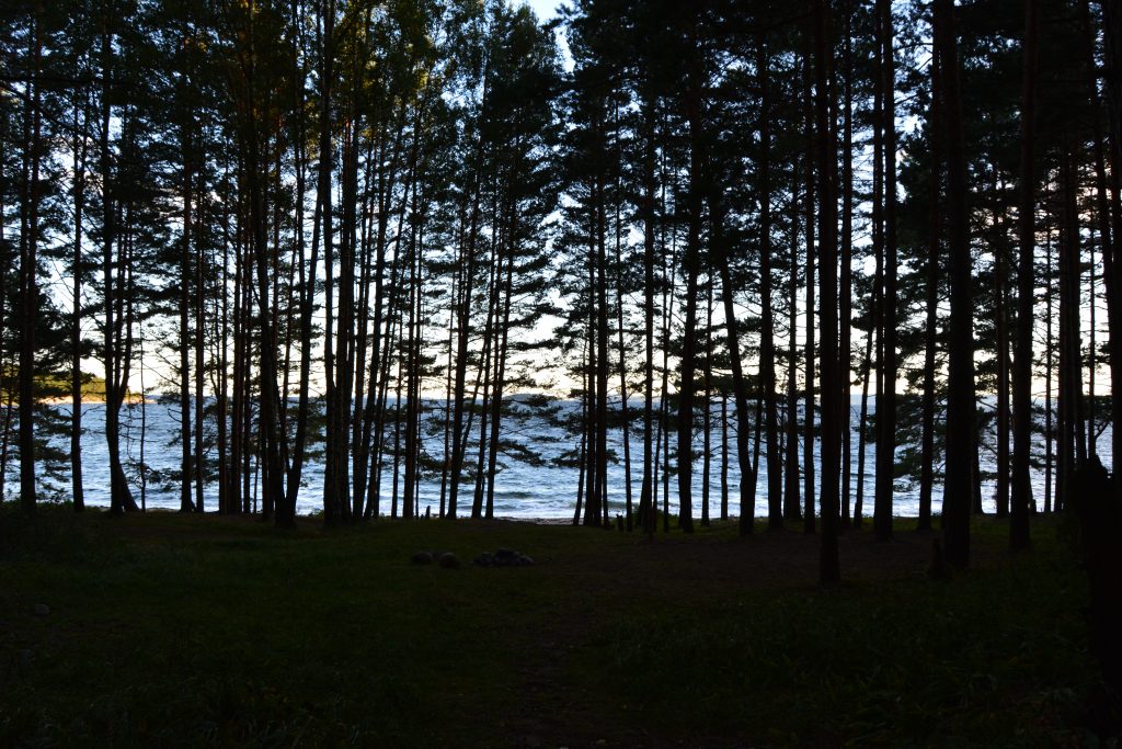 Sandbukta - Østnestangen