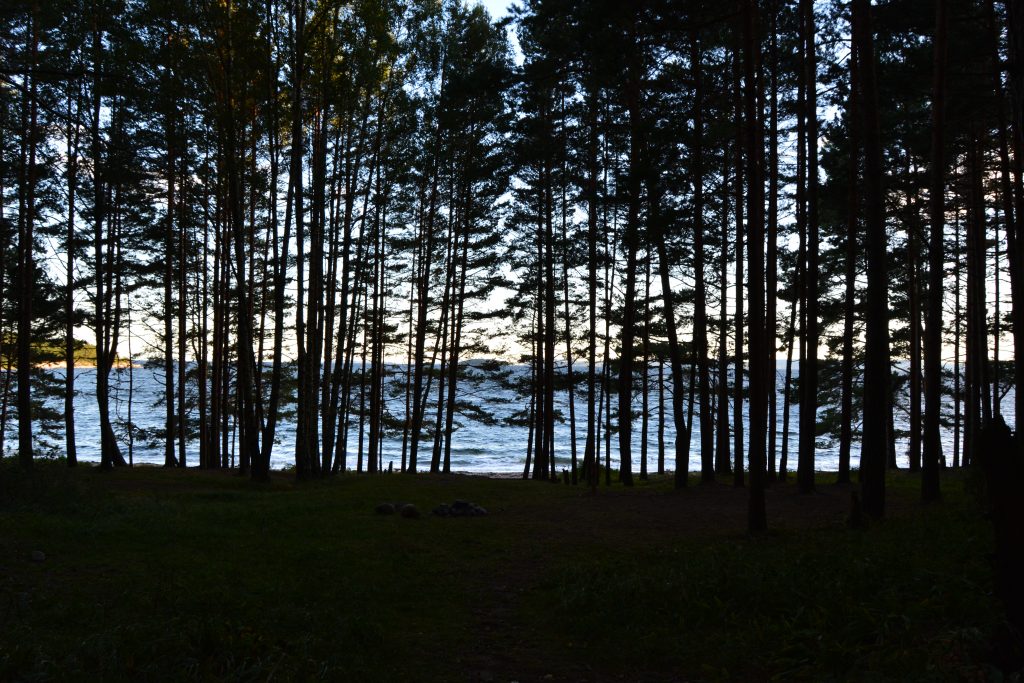 Sandbukta - Østnestangen
