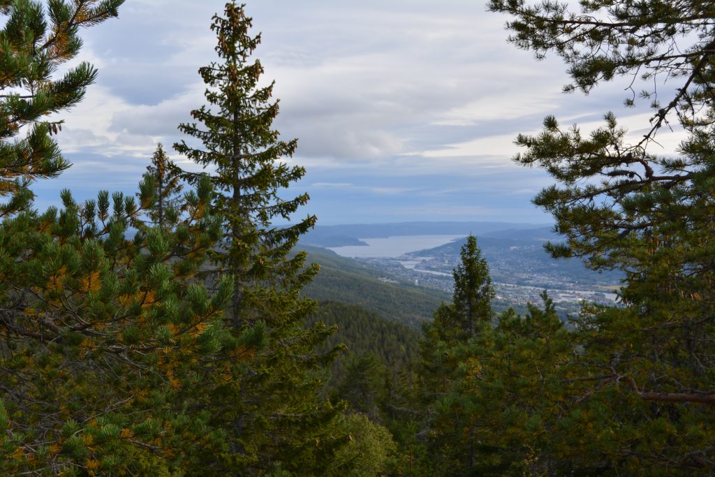Lokkeråsen og Solbergvarden