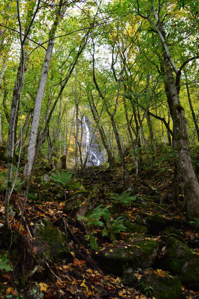 Fin liten foss på topptur til Mørkgonga og Krokskogen