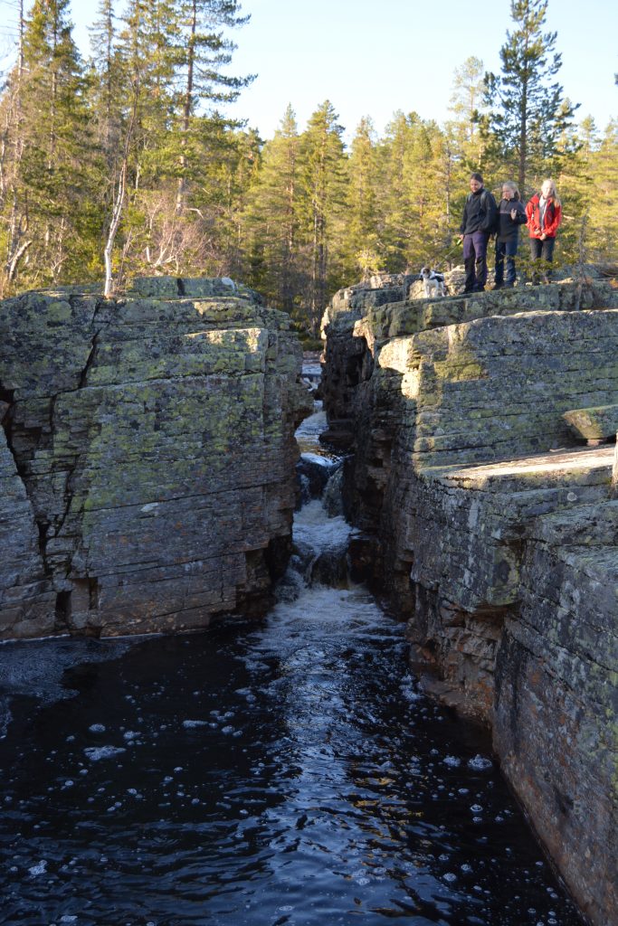 Steget og Juvfossen med hund