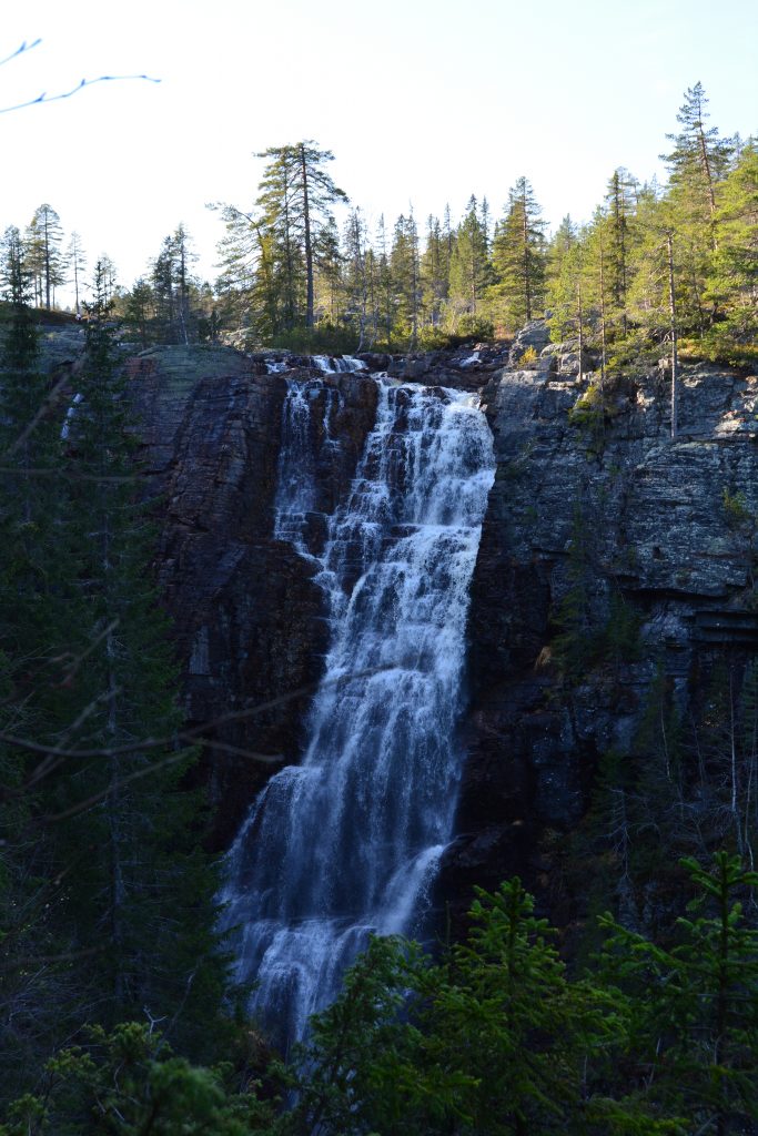 Juvfossen med hund.