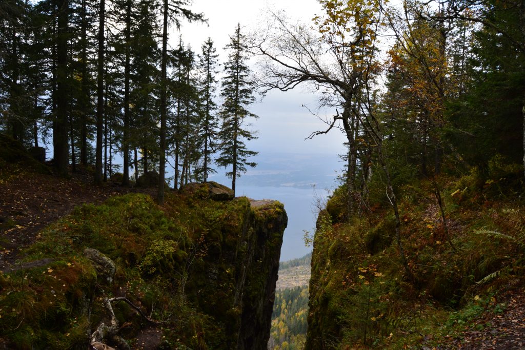 Mørkgonga en fin topptur i Krokskogen