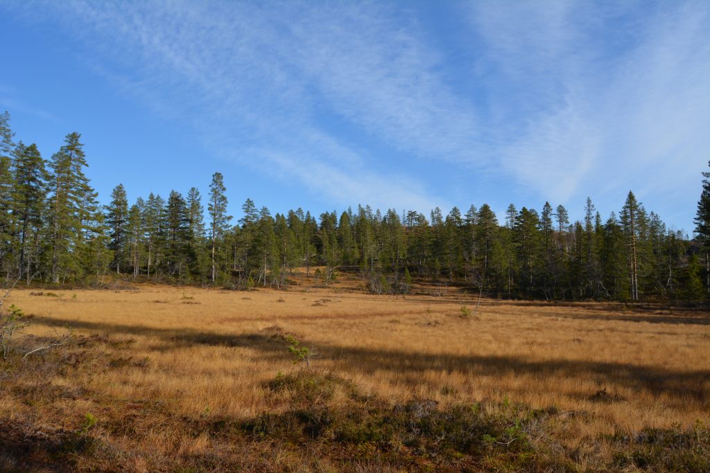 Fine høstfarger på tur til Juva og Juvfossen