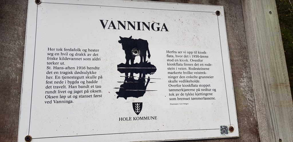 Krokkleiva Kongens utsikt