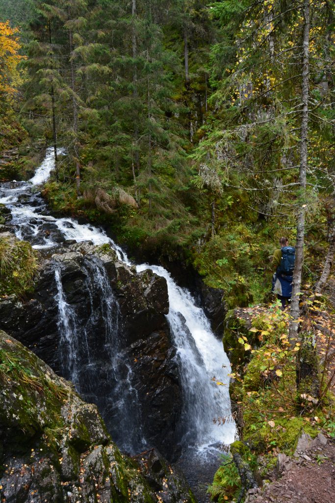 Fossen i Asdøljuvet naturreservat. Ett av høydepunktene på denne Familietur